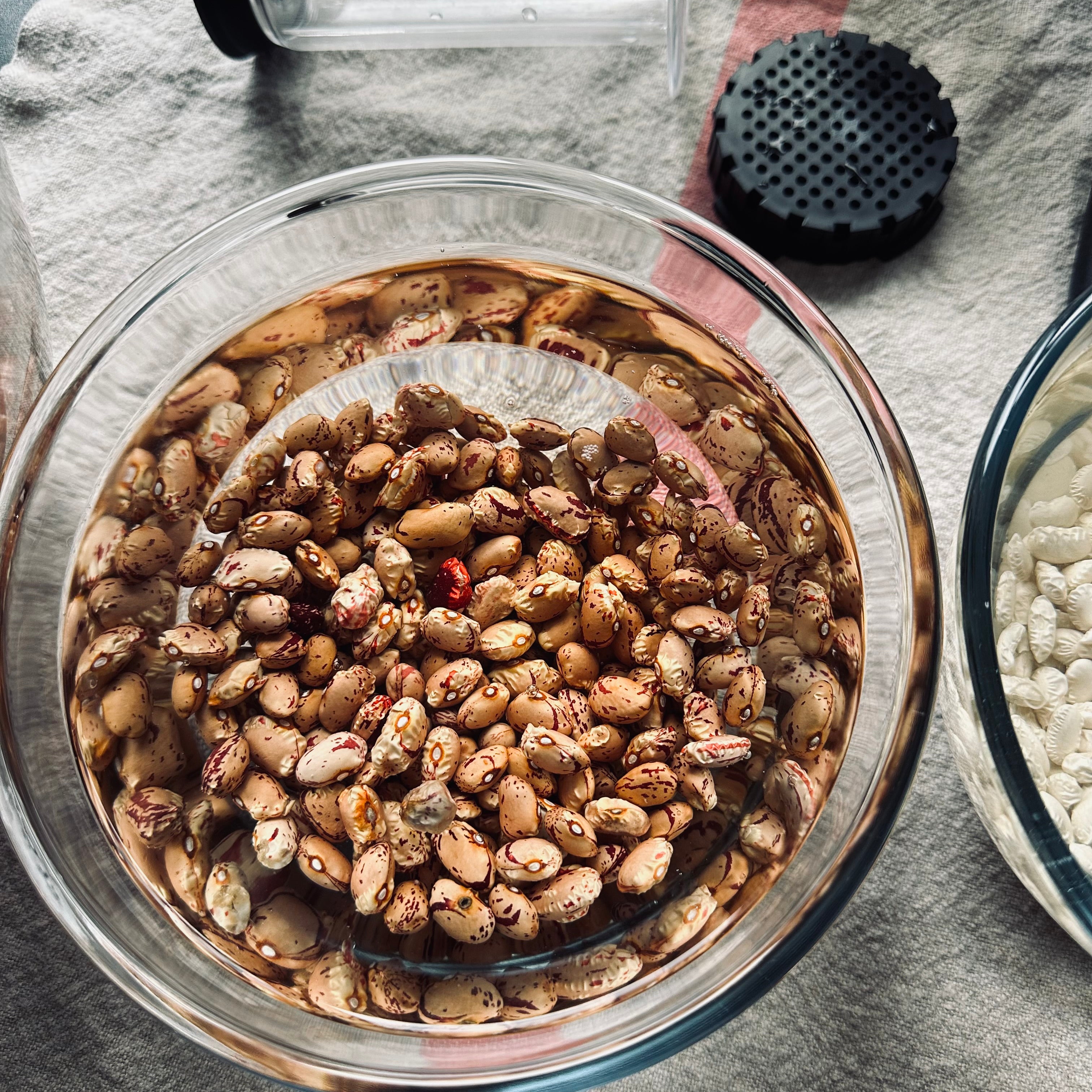 Harvesting Health From Your Plate.