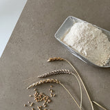BREAD FOR DIGESTIVE HEALTH - Online course